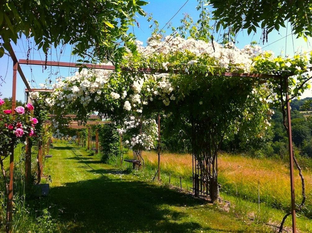 Mas Del Lum Bed & Breakfast Boussac  Luaran gambar